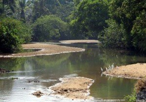 River flowing from the plunge farin ruwa_ Picture Source: skyscrapercity.com