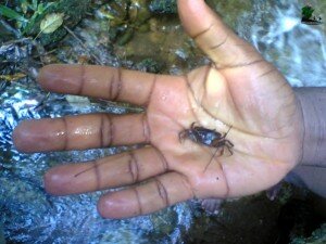 www.naijatreks.com