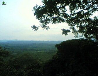 Igarra