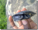 Travelogue Nigeria_Naijatreks