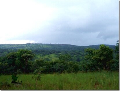 Naijatreks.com
