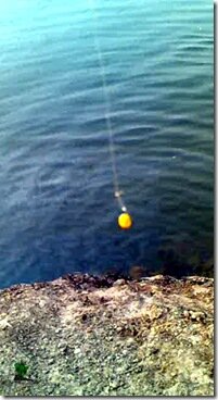 eba hook