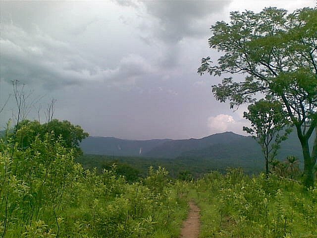 naijatreks.com naijatreks.com