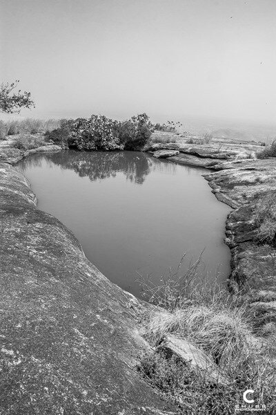 _MG_7586
